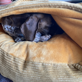 Cozy Caves x small - x large