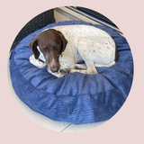 Luxury Pet beanbags - Summer range