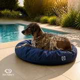 Luxury Pet beanbags - Summer range