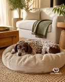 Luxury Pet beanbags