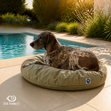 Luxury Pet beanbags - Summer range