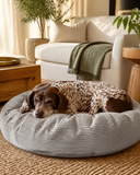 Luxury Pet beanbags