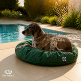 Luxury Pet beanbags - Summer range