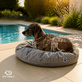 Luxury Pet beanbags - Summer range
