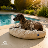 Luxury Pet beanbags - Summer range