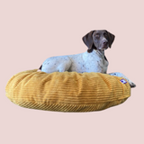 Luxury Pet beanbags